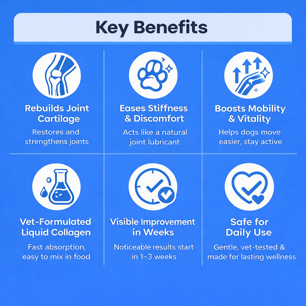 Liquid Collagen - Joint Repair