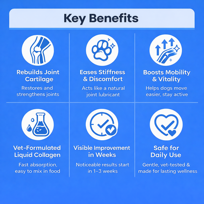 Liquid Collagen - Joint Repair