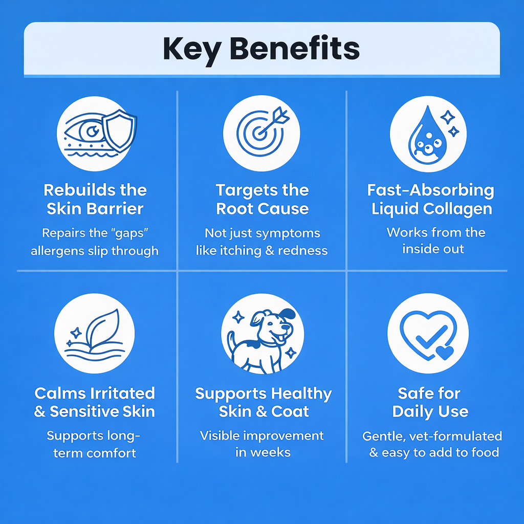 Liquid Collagen - For Skin and Allergies