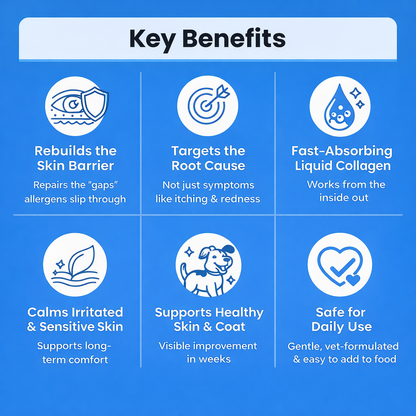 Liquid Collagen - For Skin and Allergies