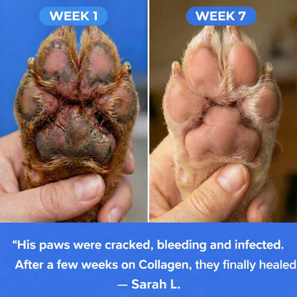 Liquid Collagen - For Skin and Allergies