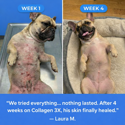 Liquid Collagen - For Skin and Allergies