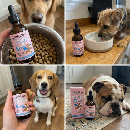 Liquid Collagen - Joint Repair